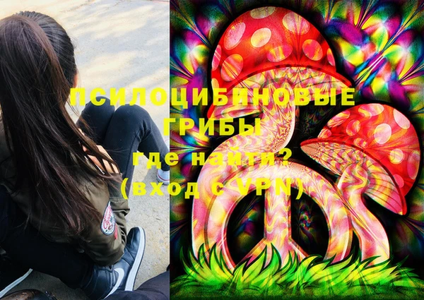 герыч Алексин