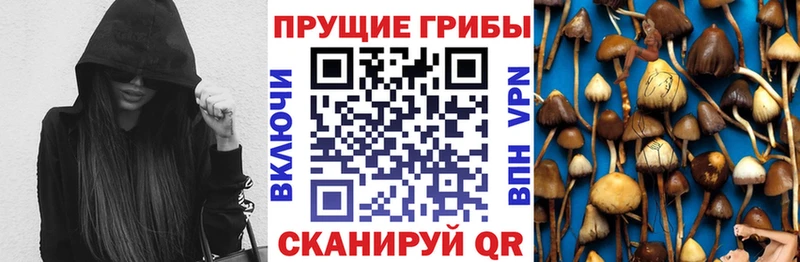 Псилоцибиновые грибы ЛСД  Карабаново 