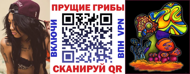 Псилоцибиновые грибы MAGIC MUSHROOMS Карабаново